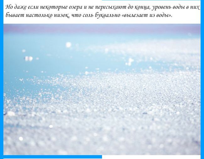 Необычные соляные пустыни в Крыму (10 фото)
