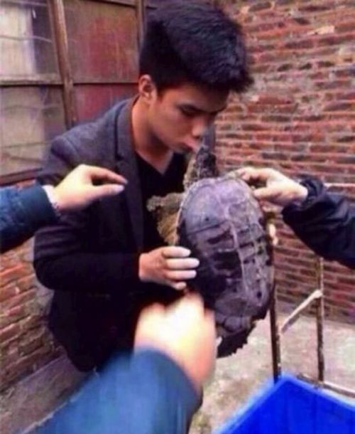 Не надо было целовать черепаху (5 фото)