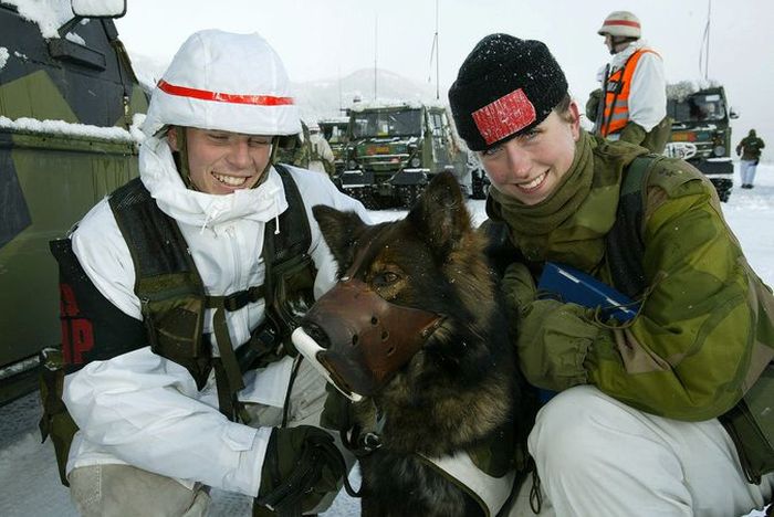 "Унисекс-казармы" норвежской армии (7 фото)