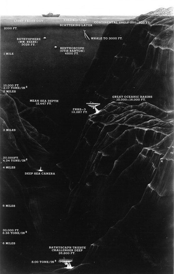 Факты о таинственной Марианской впадине (25 фото)