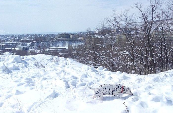 В конце марта Россию завалило снегом (41 фото)