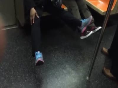 Крыса перепугала всех пассажиров метро в Нью-Йорке (12.2 мб)