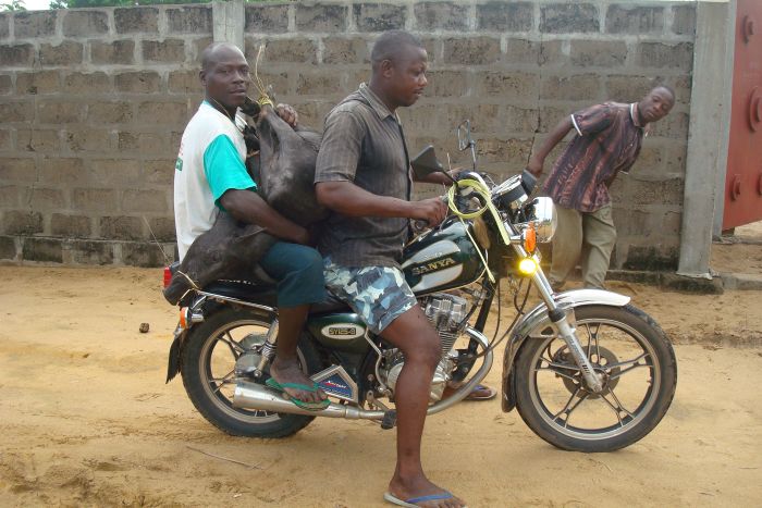 Хаос и неразбериха на дорогах Африки (21 фото)