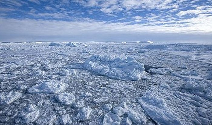 Удивительные факты об Антарктиде (16 фото)