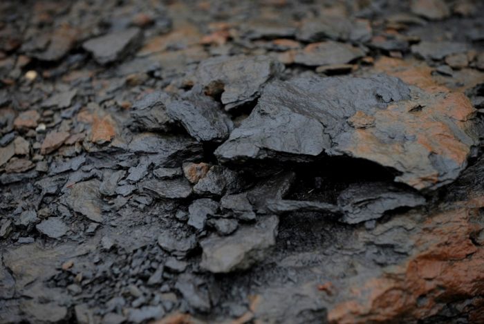 Добыча нефти из битумных песков (14 фото)