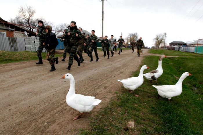 Подготовка бойцов спецназа России из неопытных школьников (27 фото)