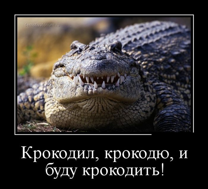 Демотиваторы (30 фото)
