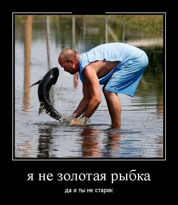 Демотиваторы (30 фото)