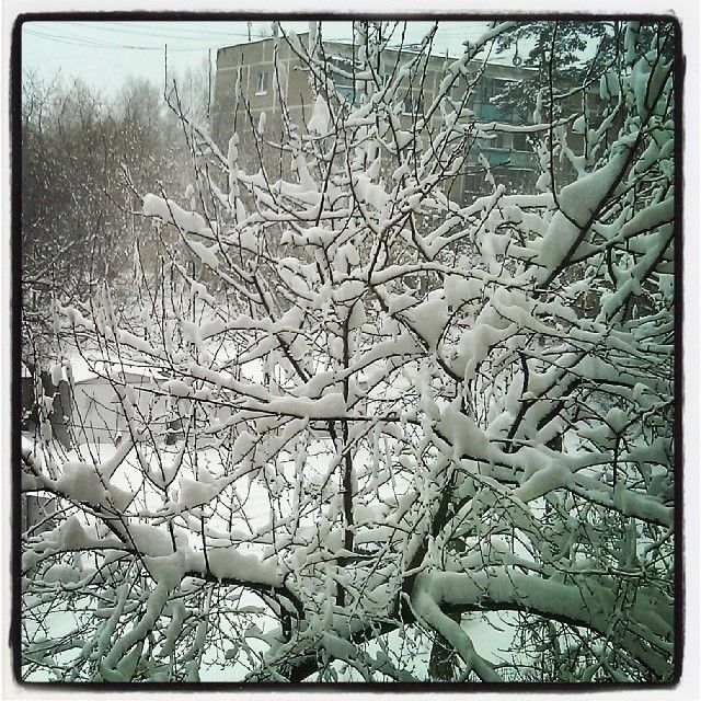 Весенний снегопад в Екатеринбурге (23 фото)