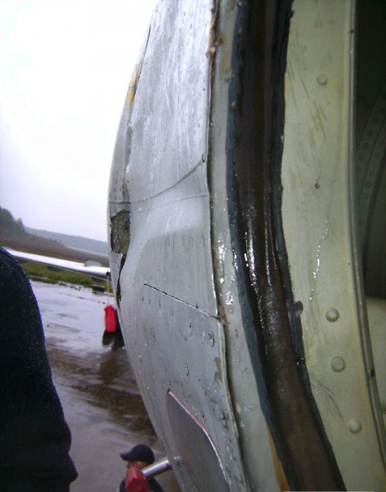 Столкновение самолета Ту-154м с гусем (22 фото)