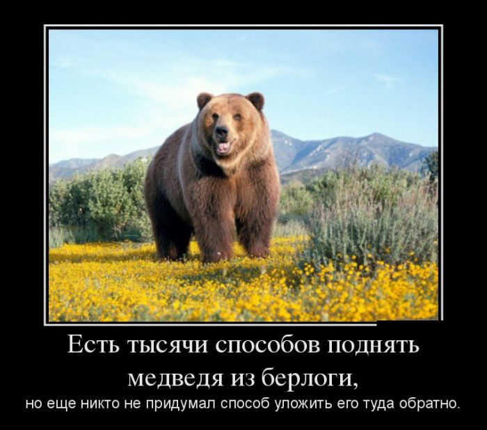 Демотиваторы (30 фото)