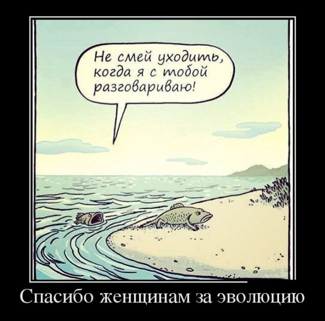 Демотиваторы (30 фото)