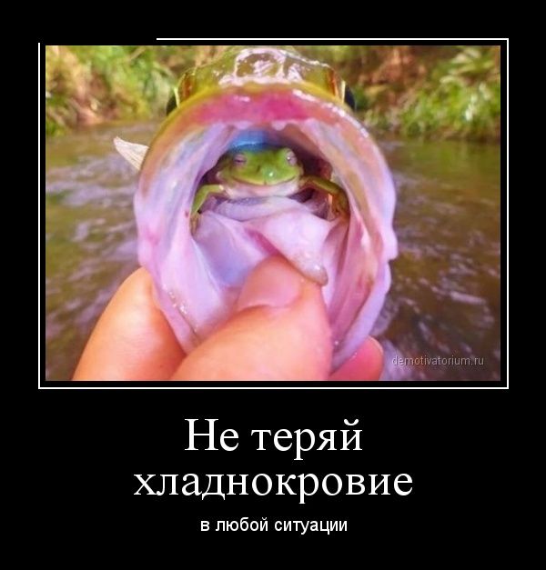 Демотиваторы (30 фото)