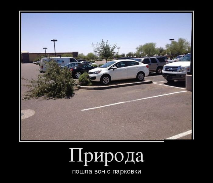 Демотиваторы (30 фото)