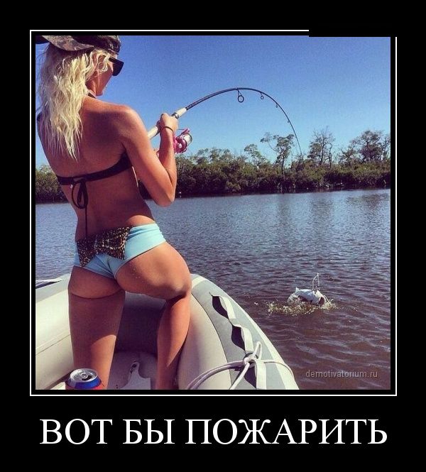Демотиваторы (30 фото)