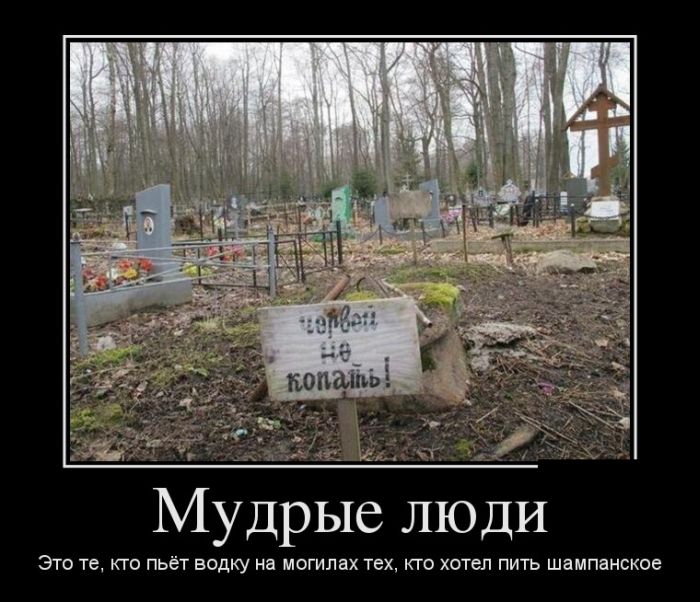 Демотиваторы (30 фото)