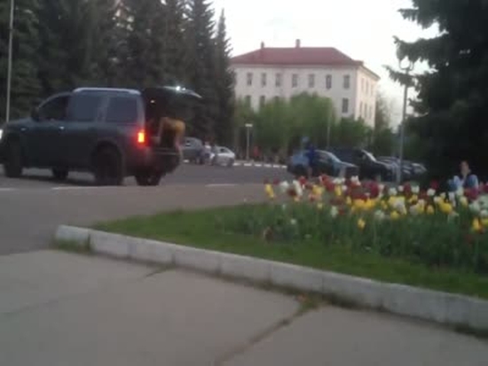Украл бутылку пива совсем без палева