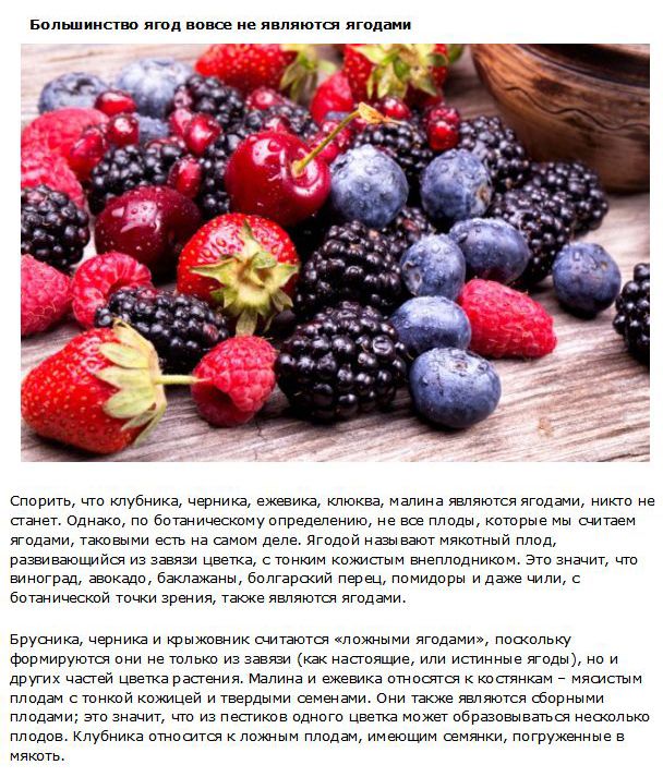 Факты о фруктах, которые нужно знать каждому (10 фото)