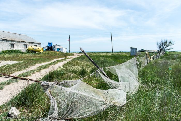 Непростой способ рыбной ловли в Крыму (18 фото)