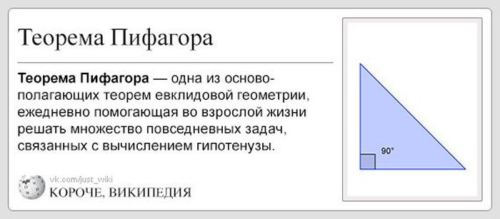 "Википедия" в необычном формате (100 картинок)