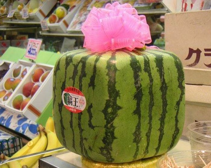 Самые необычные и дорогие продукты в Японии (10 фото)