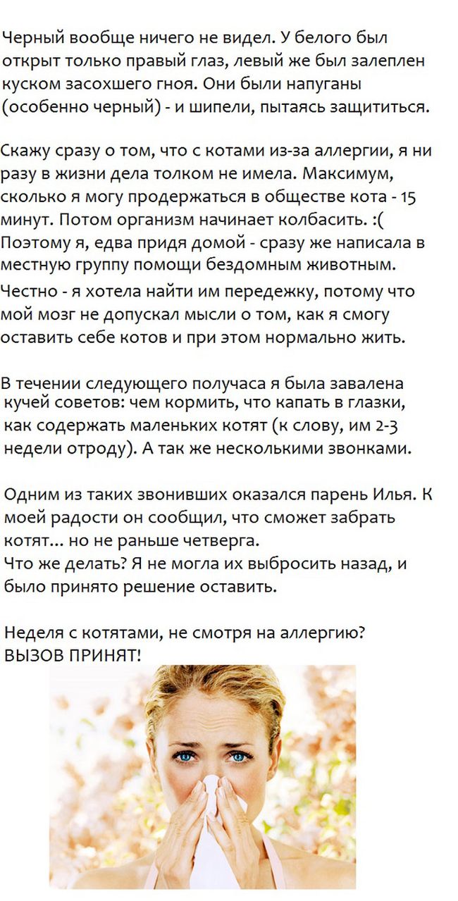Спасение бездомных котят (5 фото)