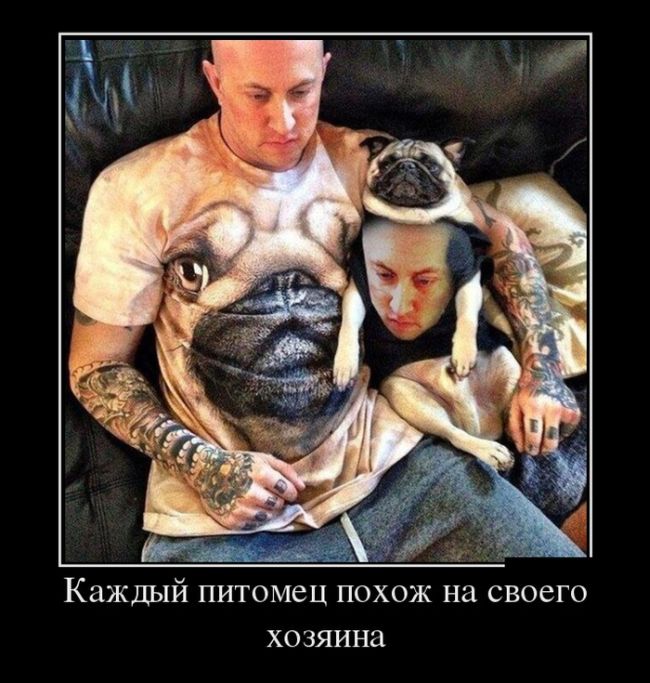 Демотиваторы (30 фото)