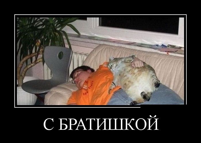 Демотиваторы (30 фото)