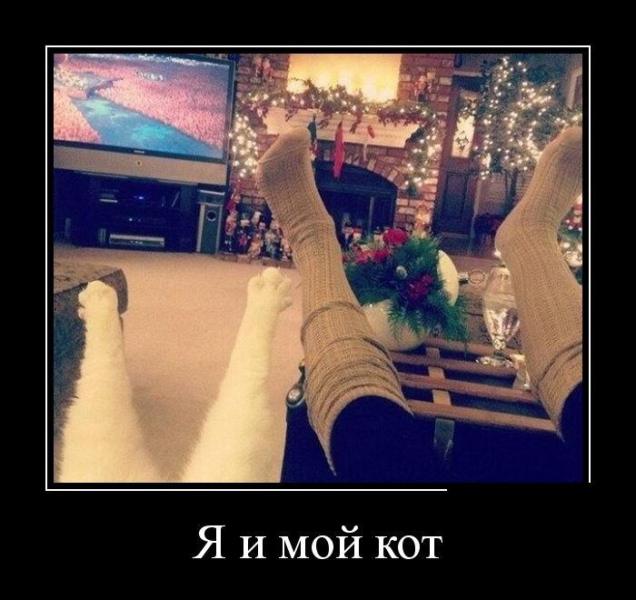 Демотиваторы (30 фото)