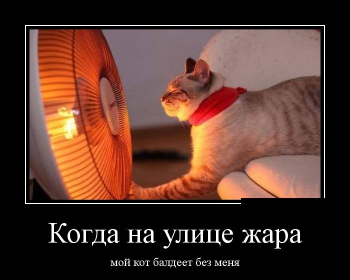 Демотиваторы (30 фото)
