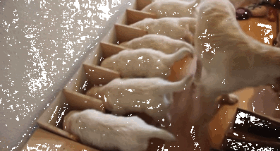 Классные гифки (25 гифок)