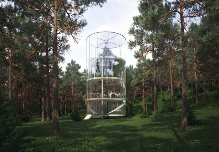 Уникальный проект стеклянного дома в лесу (6 фото)