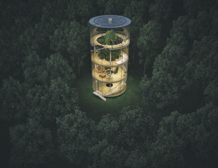 Уникальный проект стеклянного дома в лесу (6 фото)