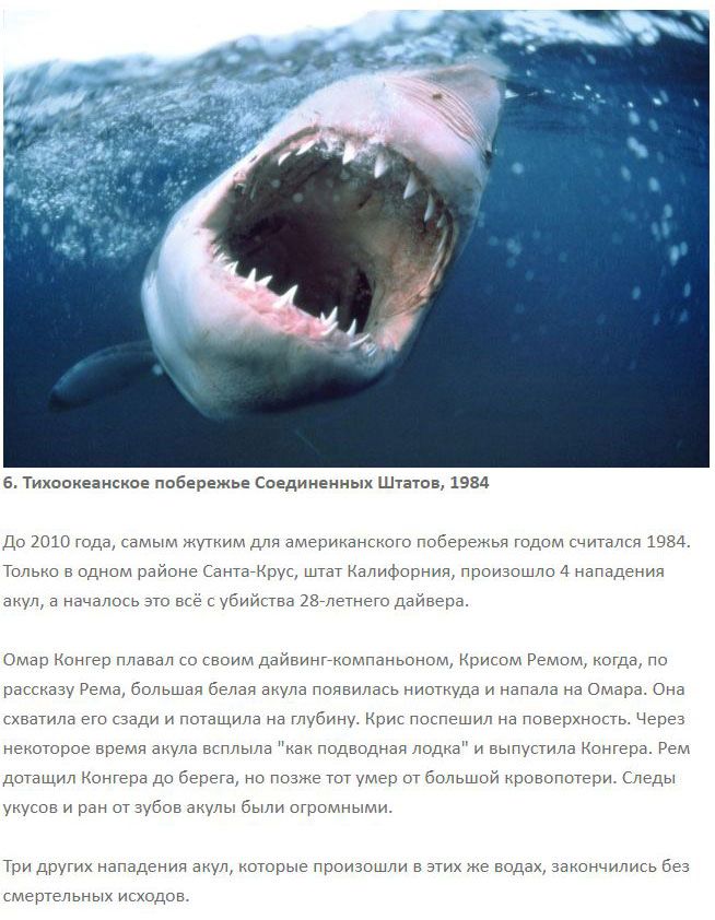 Ужасные нападения акул на человека (7 фото)