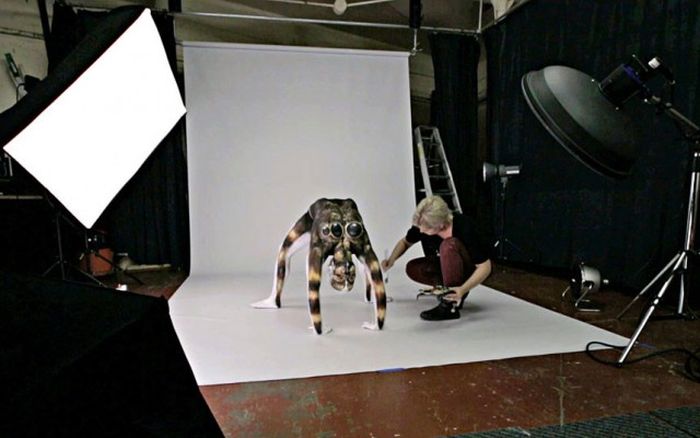 Девушка превращается в гигантского тарантула при помощи красок (6 фото)