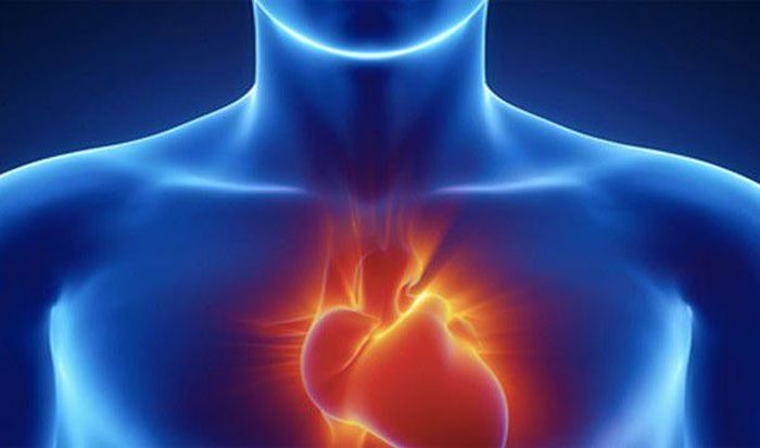 Невероятные факты о сердце человека (20 фото)