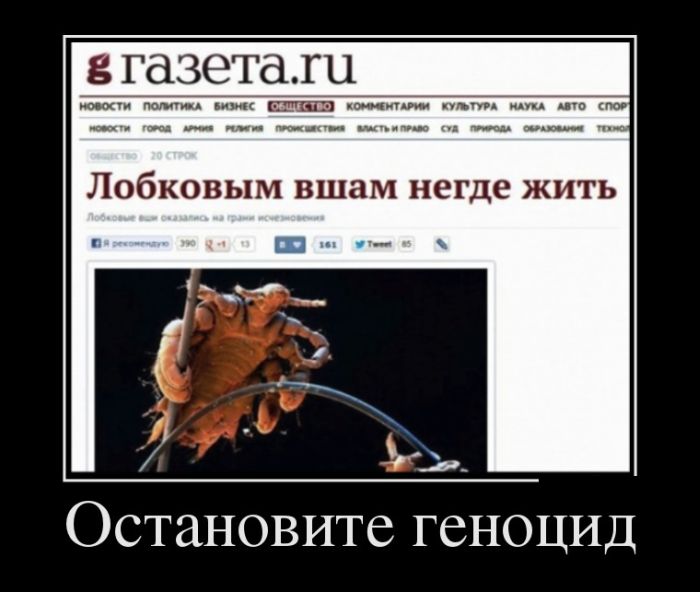 Демотиваторы (30 фото)