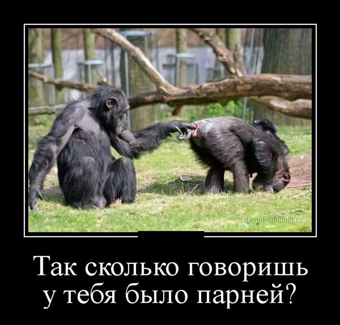 Демотиваторы (30 фото)
