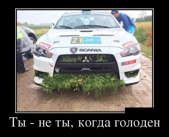 Демотиваторы (30 фото)