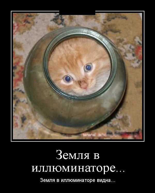 Демотиваторы (30 фото)