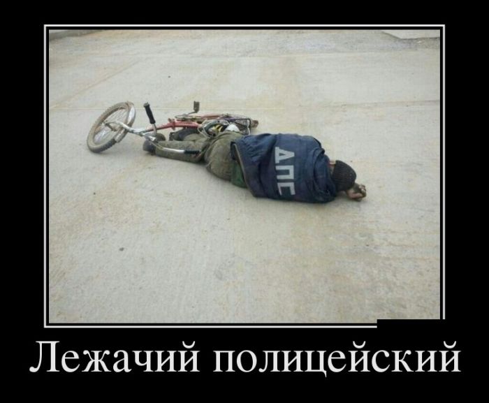Демотиваторы (30 фото)