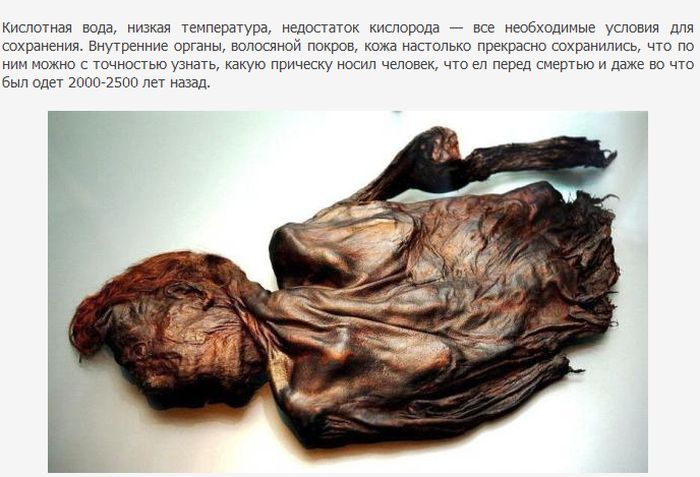 "Болота человеческих органов" (22 фото)