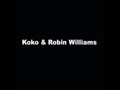 Горилла Коко скорбит по Робину Уильямсу (16.3 мб)