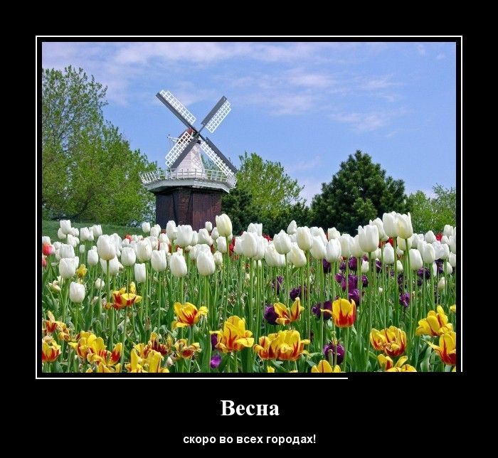 Демотиваторы (30 фото)