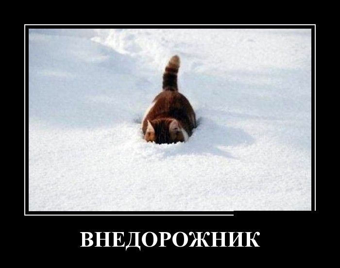 Демотиваторы (30 фото)