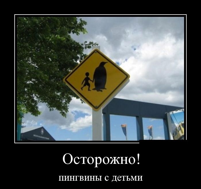 Демотиваторы (30 фото)
