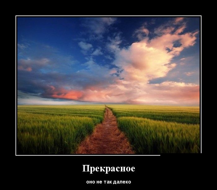 Демотиваторы (30 фото)