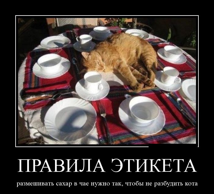 Демотиваторы (30 фото)