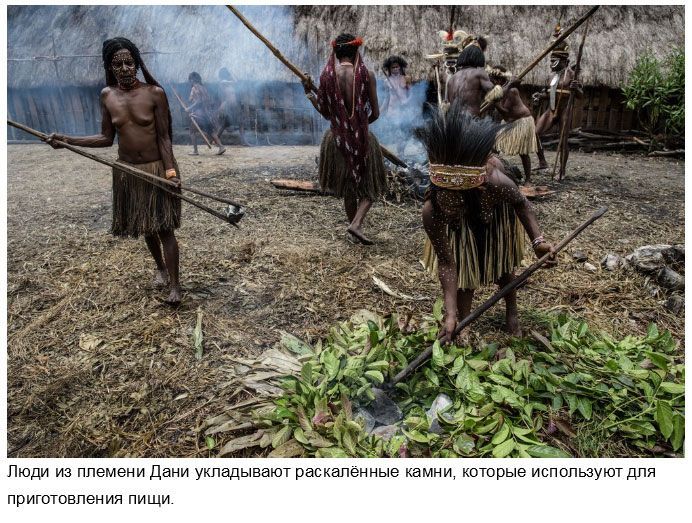 Народ Дани: жизнь по традициям каменного века в современном мире (16 фото)