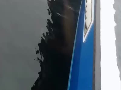 Кит подбросил морского льва на несколько метров над водой (7.0 мб)